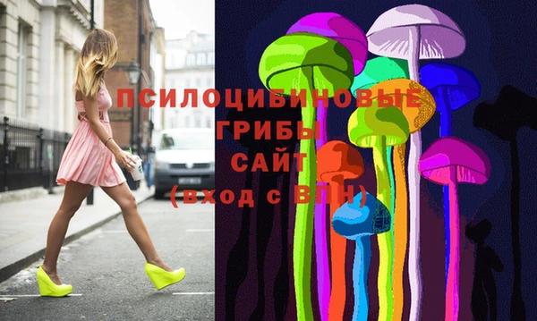 ГАЛЛЮЦИНОГЕННЫЕ ГРИБЫ Алагир