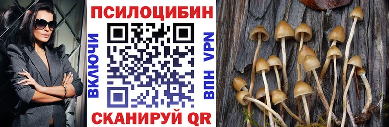 Галлюциногенные грибы Psilocybine cubensis  Каменногорск 